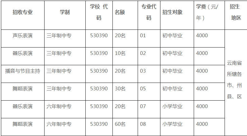 云南艺术学院附属艺术学校