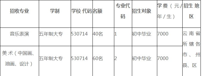 云南艺术学院五年制大专