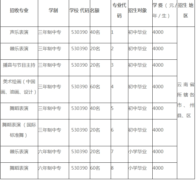 云南艺术学院附属艺术学校