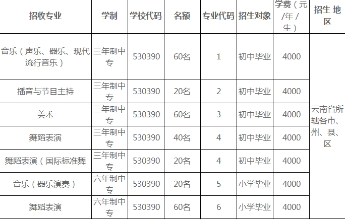 云南艺术学院附属艺术学校