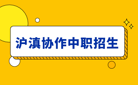 2024年沪滇协作中职招生优势